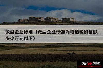 微型企業標準(微型企業標準為增值稅銷售額多少萬元以下)