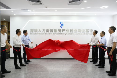 全市首家人力資源服務(wù)產(chǎn)業(yè)創(chuàng)業(yè)孵化基地在龍崗揭牌運(yùn)作，助力滑縣人力資源服務(wù)發(fā)展
